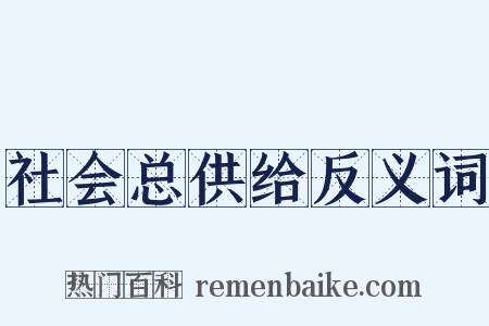 社会总供给反义词是什么意思的图片